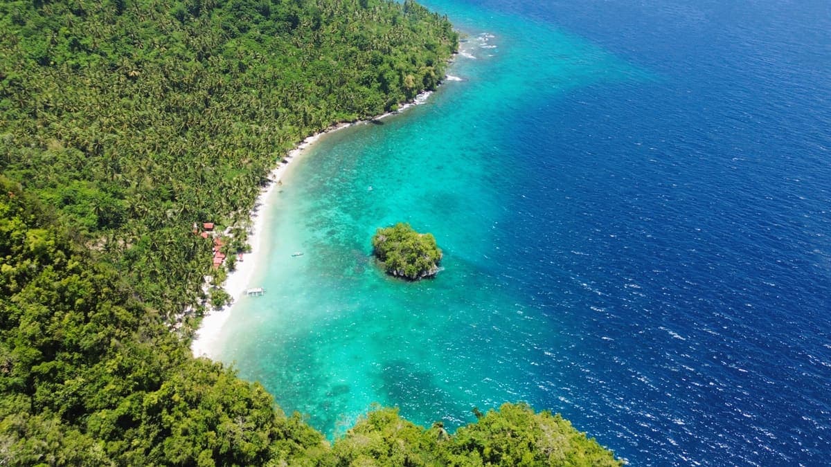 A reef shelf running out from a forested shoreline into deep blue water