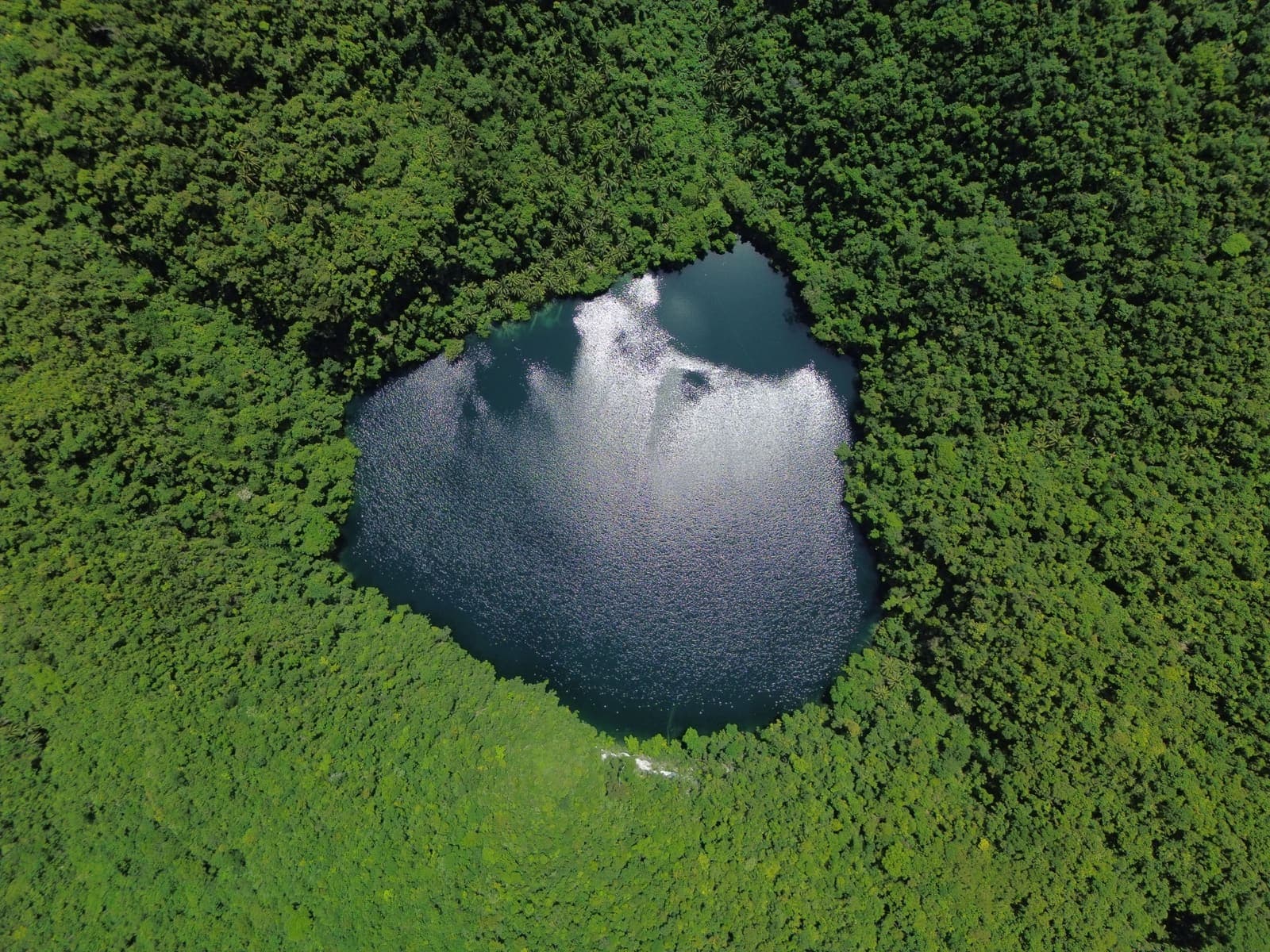 Bababu Lake photographed from directly overhead, a dark freshwater lake completely enclosed by forest