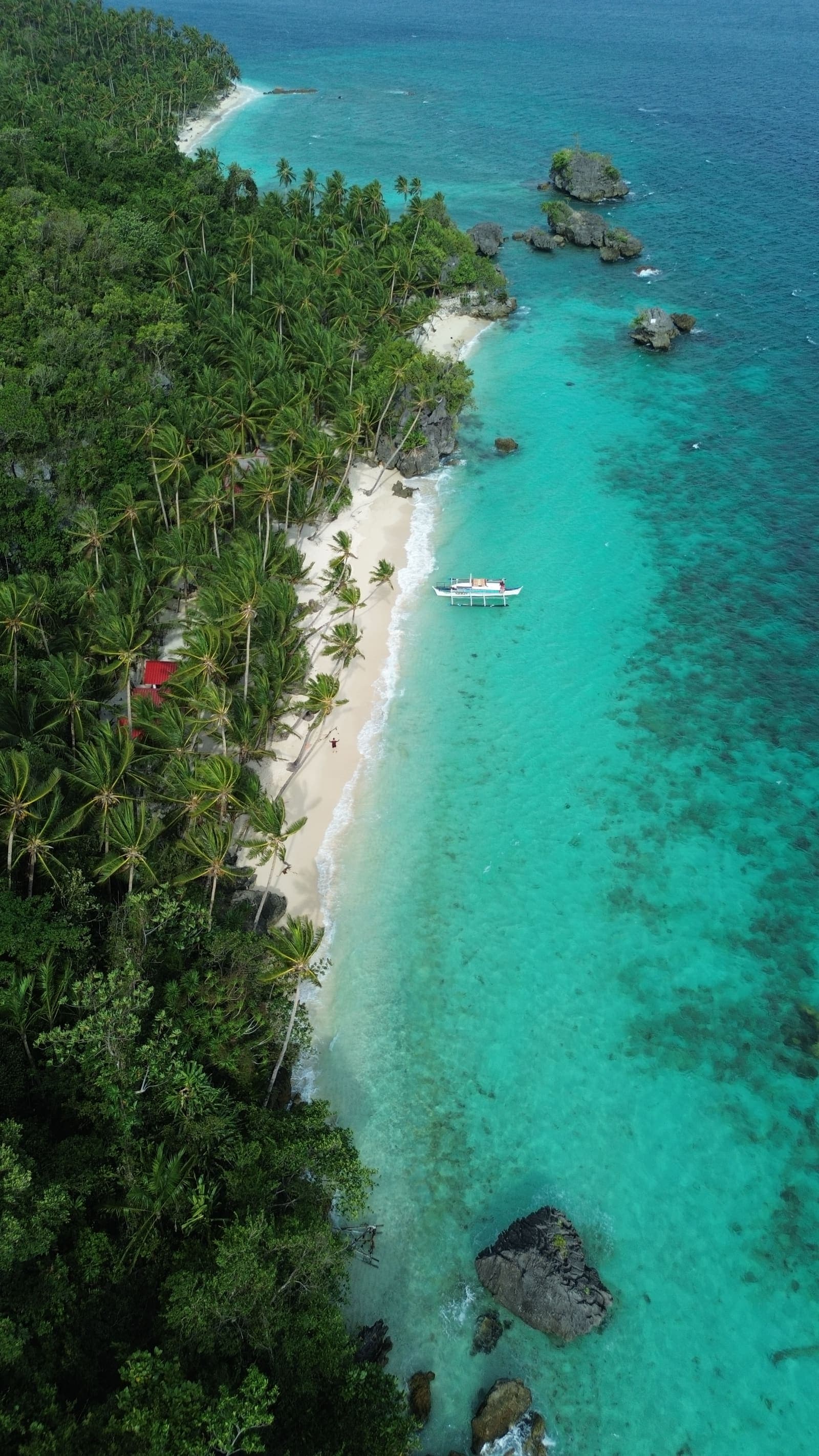 A long palm-lined white beach curving along a forested shore, with clear shallow water and rock formations at the waterline
